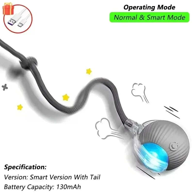 ZoomTail™ Interactive Pet Ball