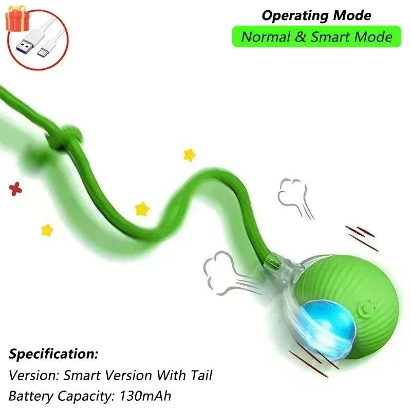 ZoomTail™ Interactive Pet Ball