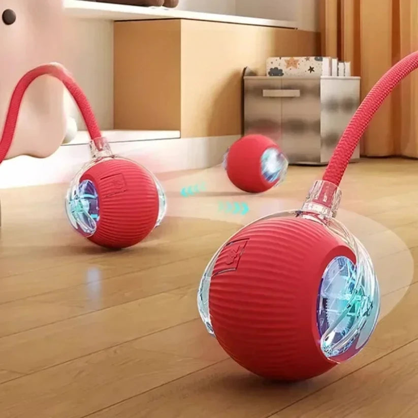 ZoomTail™ Interactive Pet Ball