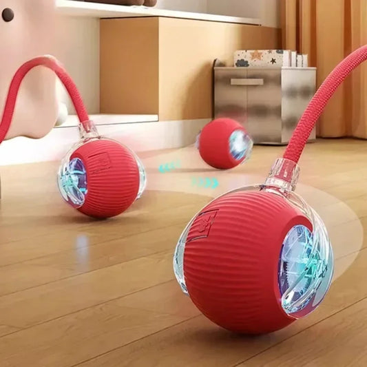 ZoomTail™ Interactive Pet Ball