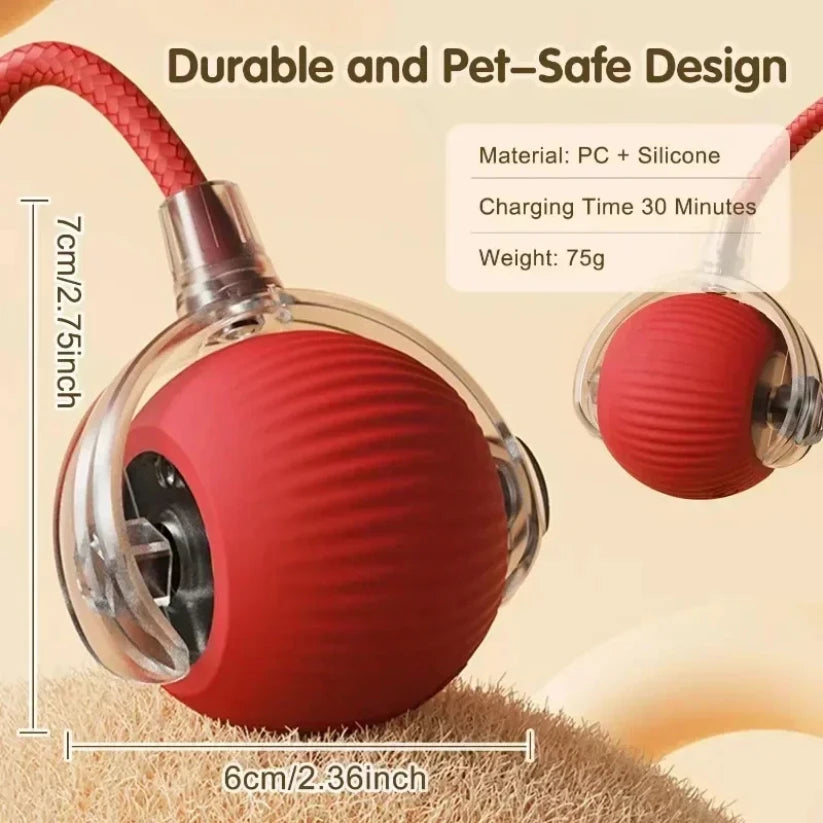 ZoomTail™ Interactive Pet Ball