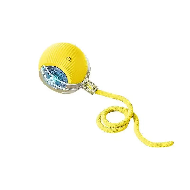 ZoomTail™ Interactive Pet Ball