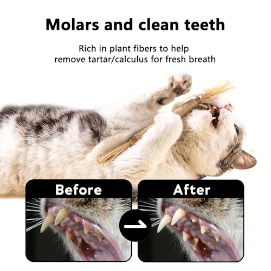 PurrFresh™ Natural Silvervine Dental Sticks