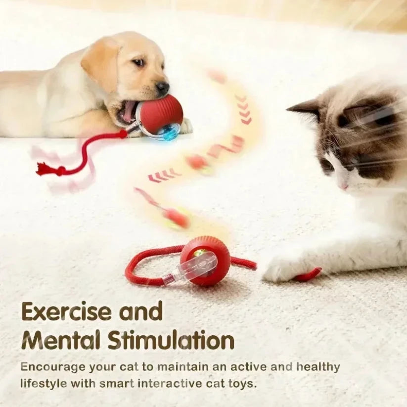 ZoomTail™ Interactive Pet Ball