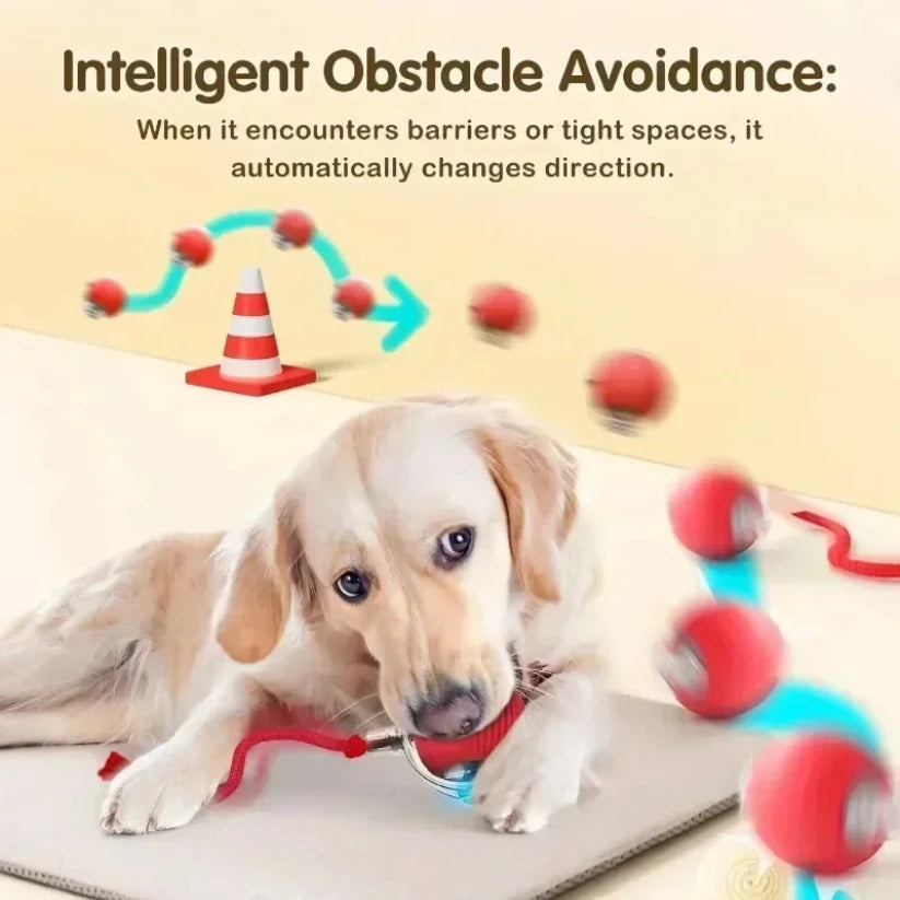 ZoomTail™ Interactive Pet Ball