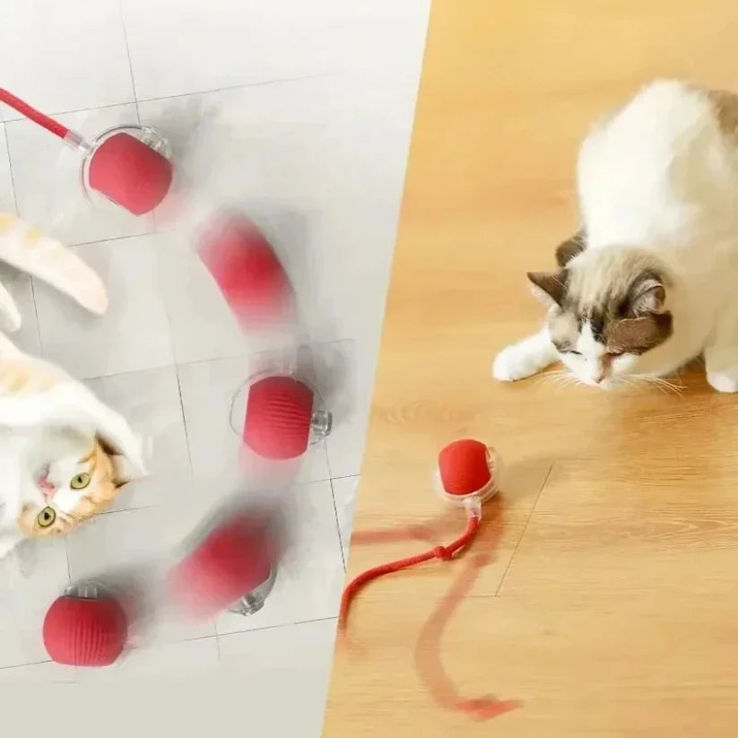 ZoomTail™ Interactive Pet Ball