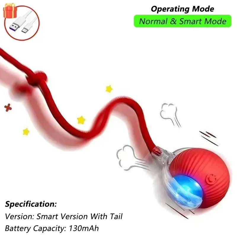 ZoomTail™ Interactive Pet Ball